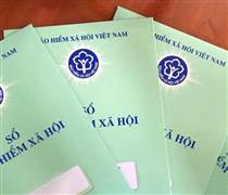 TP.HCM công khai 200 đơn vị chậm đóng bảo hiểm từ 6 tháng với số tiền lớn