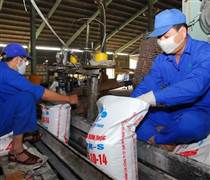 Doanh nghiệp phân bón nào được đặt 'ngôi sao hy vọng' năm 2026