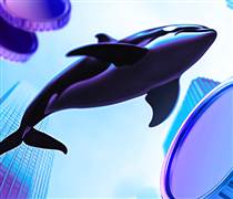 Litecoin giao dịch thấp hơn 46% so với đỉnh năm 2025, nhưng hoạt động của cá voi lại cho thấy điều khác