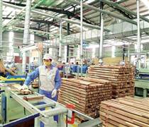 Cổ phiếu ngành gỗ 'vượt sóng' 2026?