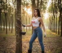 PHR: Lợi nhuận sau thuế Cao su Phước Hòa năm 2025 đạt 388,73 tỷ đồng, vượt 13,55% kế hoạch