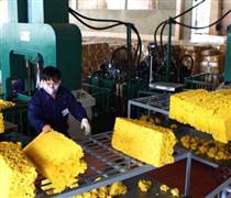 Cao su Việt đứng trước ngã rẽ chiến lược