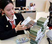 Kiểm soát tín dụng bất động sản, mục tiêu lợi nhuận vẫn "bay cao"