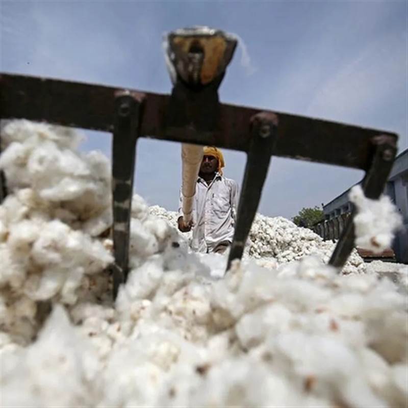 Xuất khẩu sang Trung Quốc trượt dốc mạnh, Mỹ ồ ạt đưa một mặt hàng vào Việt Nam, nước ta tiêu thụ 1,5 triệu tấn/năm