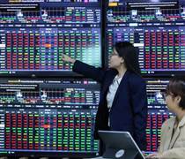 Loạt công ty chứng khoán báo lãi kỷ lục năm 2025