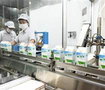 MCM: Mộc Châu Milk không hoàn thành kế hoạch kinh doanh năm 2025