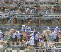 Các ngành công nghệ mới nổi định hình lại thị trường việc làm Trung Quốc