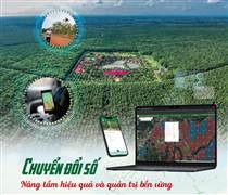 GVR: Đặt mục tiêu hoàn thành kế hoạch sản xuất kinh doanh và đầu tư năm 2026