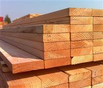 Điểm sáng mới của xuất khẩu gỗ