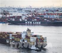 Xuất khẩu của Nhật Bản tăng trưởng bất chấp ảnh hưởng từ thuế quan Mỹ