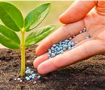 Cổ phiếu phân bón bứt phá, VN-Index giằng co mất gần 3 điểm cuối phiên