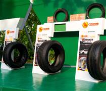 CSM: Lỗ hơn 13 tỷ đồng trong quý IV, Casumina đối mặt nhiều áp lực