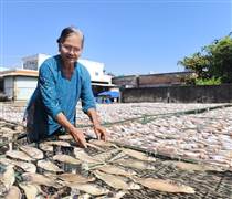 Làng nghề cá khô ven biển tăng công suất gấp 3 lần phục vụ Tết