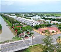 CCL: Báo lỗ quý IV/2025