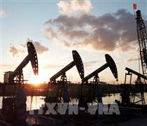 Giá dầu phục hồi khi căng thẳng Mỹ-Iran làm tăng nỗi lo nguồn cung
