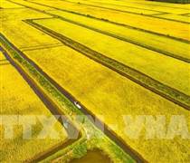 Đại hội XIV của Đảng: Nền tảng mới cho động lực tăng trưởng xanh