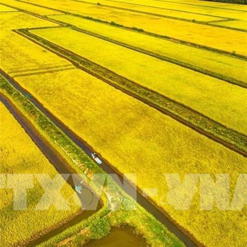 Đại hội XIV của Đảng: Nền tảng mới cho động lực tăng trưởng xanh