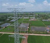 Việt Nam có một lĩnh vực đứng đầu ASEAN