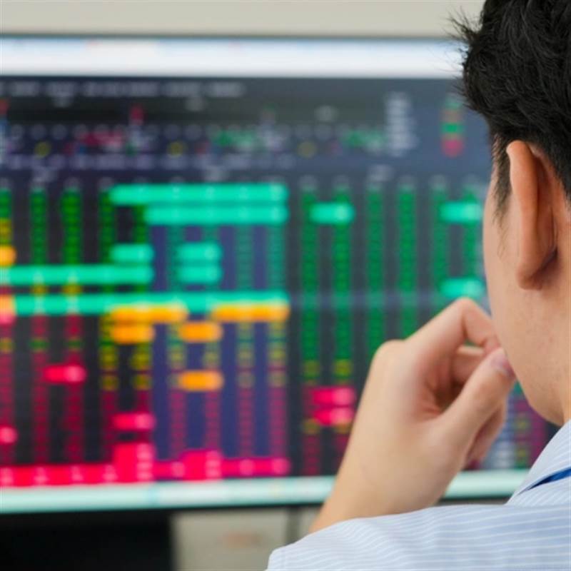 Lộ diện cổ đông lớn nhất sàn chứng khoán Việt Nam, đây mới là 'tay to' thực sự?