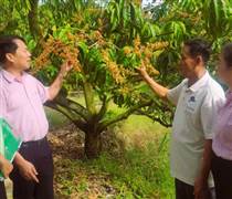 Bất động sản khu công nghiệp: Dịch chuyển chất lượng và triển vọng bứt tốc