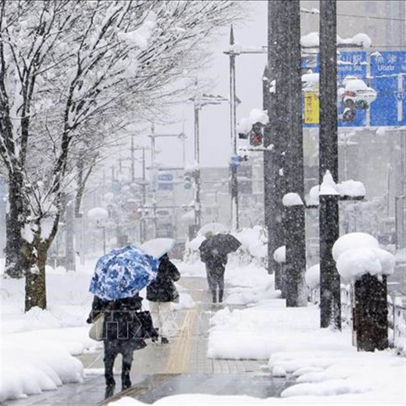 Tuyết rơi kỷ lục ở Nhật Bản gây tê liệt giao thông, ít nhất 4 người tử vong