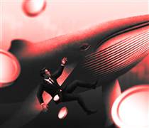 Những cá mập Axie Infinity (AXS) vừa mua vào có phải đang đối mặt rủi ro điều chỉnh sau khi giá tăng 41%?