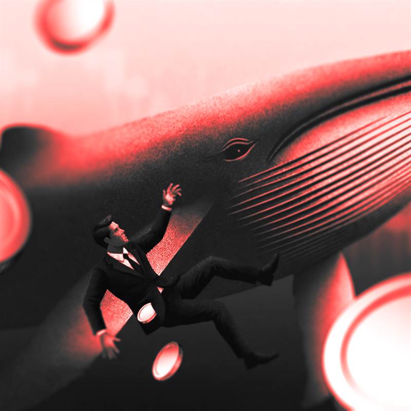 Những cá mập Axie Infinity (AXS) vừa mua vào có phải đang đối mặt rủi ro điều chỉnh sau khi giá tăng 41%?