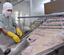 PAN: Biên lợi nhuận thu hẹp, PAN giữ tăng trưởng lợi nhuận nhờ tiết giảm chi phí