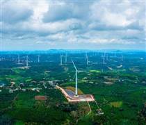 Thêm một công ty “họ” Trung Nam bị phạt 92,5 triệu đồng vì “ém” thông tin trái phiếu