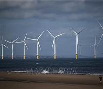 10 nước châu Âu bắt tay xây dựng 'Siêu lưới điện' gió tại Biển Bắc