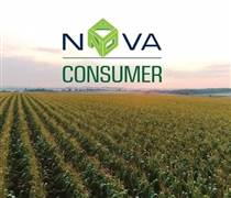 NVL: DN thuộc hệ sinh thái Nova Group của ông Bùi Thành Nhơn liên tiếp miễn nhiệm Giám đốc Tài chính và Tổng Giám đốc