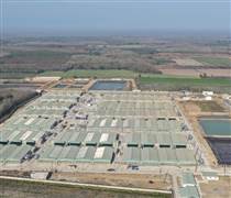 Phó Tổng giám đốc BAF: Dịch tả heo châu Phi là “bài toán sống còn”, ngành bước vào chu kỳ tái cấu trúc, giá heo 2026–2028 có thể đi theo 2 kịch bản