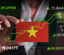 Tự doanh CTCK tranh thủ "tung" gần 500 tỷ đồng mua ròng trong phiên thị trường giảm sâu, cổ phiếu nào được gom mạnh nhất?