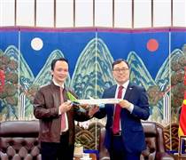 Đại gia Việt sau thi hành án: Tái xuất thế nào, doanh nghiệp ra sao?