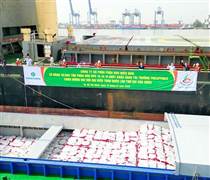 SFG: Phân bón Miền Nam xuất khẩu 10.000 tấn NPK sang Philippines