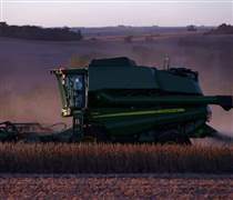 Trung Quốc vẫn chọn đậu tương Brazil dù Mỹ nối lại xuất khẩu, giá và thuế khiến Mỹ lép vế