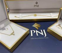 PNJ: Bảo lãnh cho công ty con vay vốn tại ngân hàng