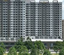 Him Lam, IDICO… thực hiện chỉ đạo “nóng” của Thủ tướng