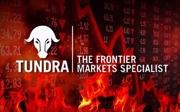 Nắm giữ FPT và MSN, hiệu suất danh mục Tundra Fund tăng trưở
