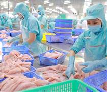 IDI: Doanh thu giảm, lợi nhuận IDI vẫn tăng 97% năm 2025