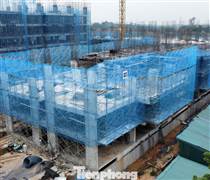 Hướng dẫn mới nhất xác nhận thu nhập mua nhà ở xã hội cho lao động tự do