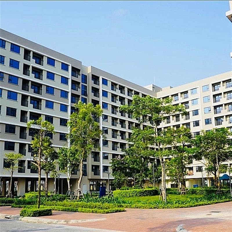 Hé mở về doanh nghiệp 5 tháng tuổi làm NƠXH 1.200 tỷ tại Đà Nẵng