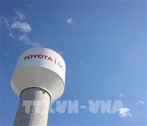 Toyota triệu hồi hơn 160 nghìn xe tại Mỹ do lỗi camera lùi