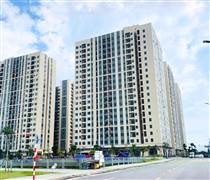 Loạt dự án nhà ở xã hội 1.000 tỉ ở Đà Nẵng 'chạy' chỉ trong 1 tháng nhờ 'luồng xanh'