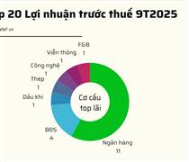 20 DN niêm yết có lợi nhuận trước thuế lớn nhất năm 2025: VinHomes vượt qua loạt ngân hàng giữ vị trí đầu bảng, 2 doanh nghiệp BĐS tăng trên 1.000%