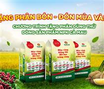 DCM: Phân bón Cà Mau có doanh thu năm 2025 cao kỷ lục