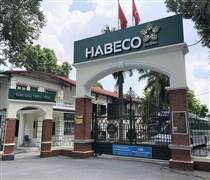 BHN: Kinh doanh quý 4/2025 ảm đạm, Bia Hà Nội vẫn báo lãi năm cao đột biến