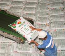 DCM: Đạm Cà Mau chốt ngày tham dự ĐHĐCĐ thường niên năm 2026