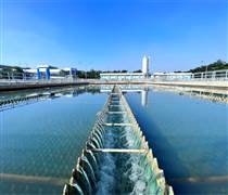 REE: Vừa báo lãi lớn năm 2025, Cơ Điện Lạnh chốt ngày chia cổ tức tiền mặt