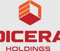 DC4: Báo cáo tình hình quản trị công ty năm 2025